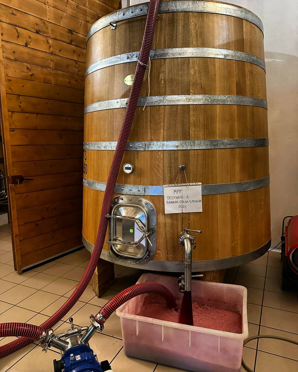 La cantina artigiana di Cascina S&ograve;t