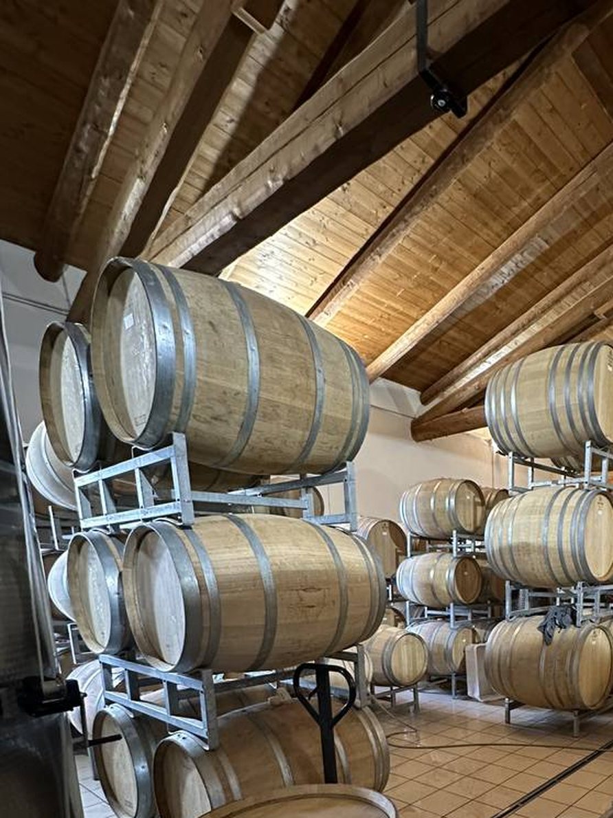 Tonneaux e barrique sulle rastrelliere sotto le travi