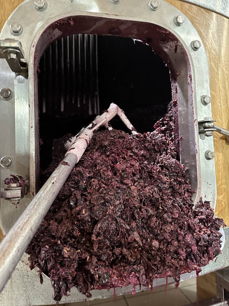 The cap of skins in the vat: three pump-overs and three punch-downs a day.