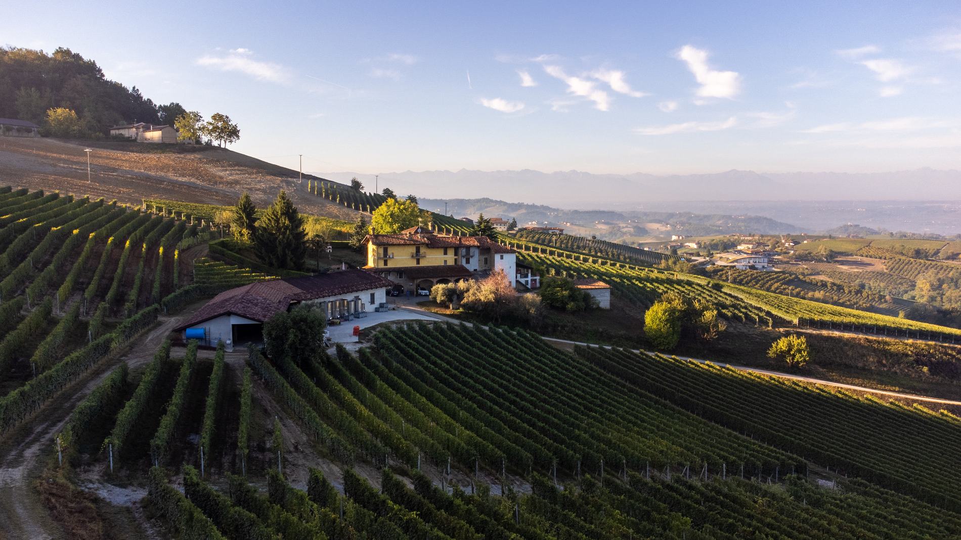 The farmhouse and the vines from above, with the Alps in the background.