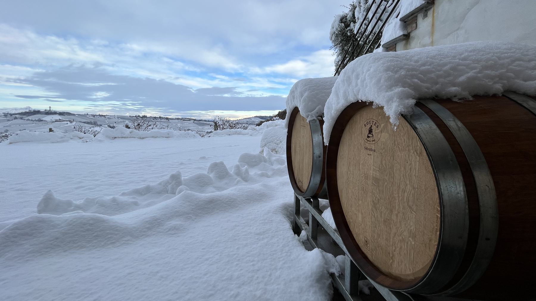 Barriques under the snow. The winter cold works for us.