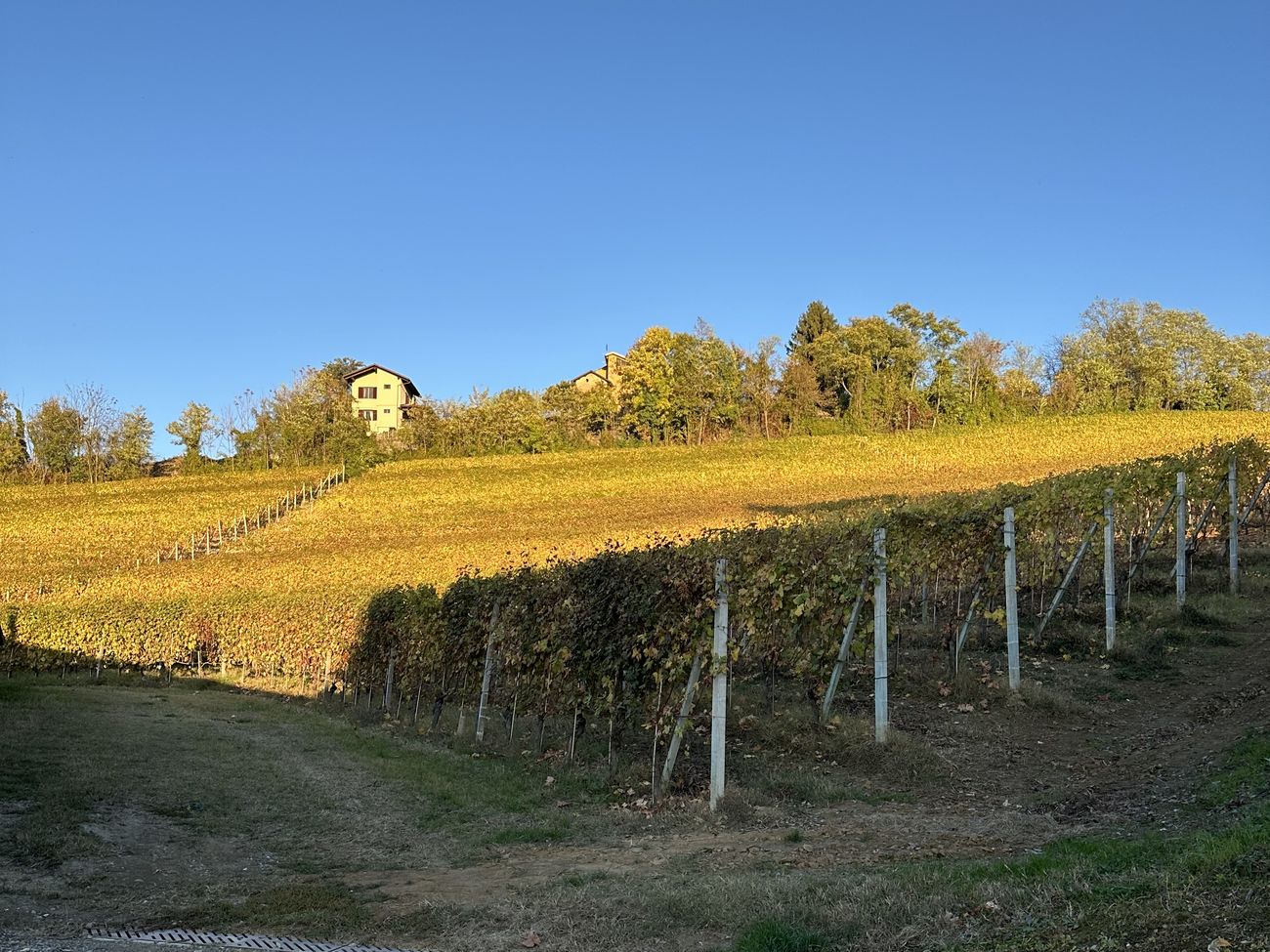 The farmhouse yard with the Bussia San Pietro vines above