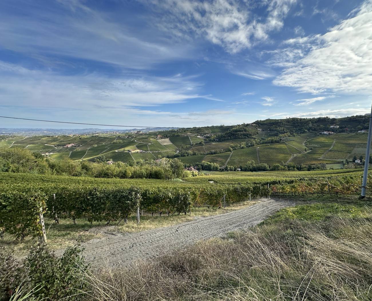 Il versante Corsini del Bricco San Pietro, le vigne che guardano a est
